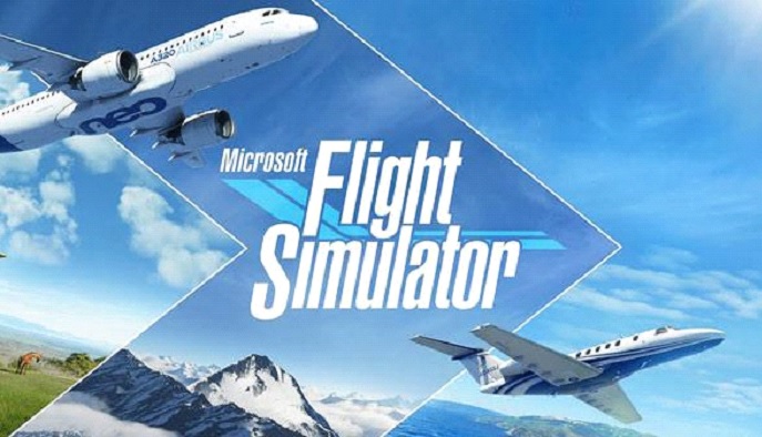 What makes a good Flight Simulator