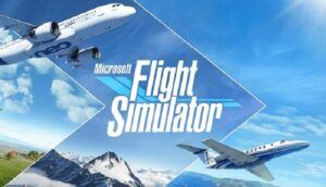 What makes a good Flight Simulator